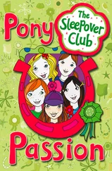 Harriet Castor - Pony Passion