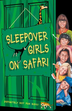 Angie Bates Sleepover Girls on Safari обложка книги