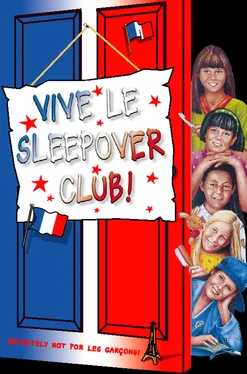 Narinder Dhami Vive le Sleepover Club! обложка книги