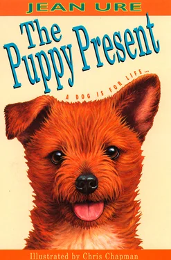 Jean Ure The Puppy Present обложка книги