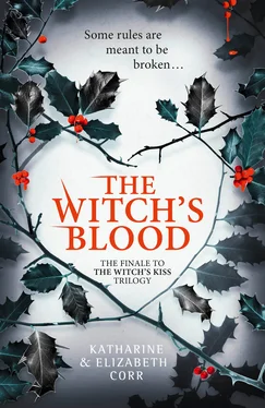Katharine Corr The Witch’s Blood обложка книги