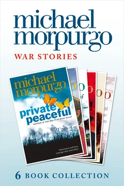 Michael Morpurgo Morpurgo War Stories обложка книги