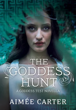 Aimee Carter The Goddess Hunt обложка книги