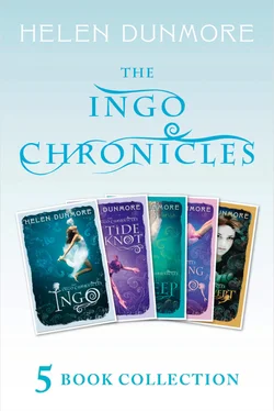 Helen Dunmore The Complete Ingo Chronicles: Ingo, The Tide Knot, The Deep, The Crossing of Ingo, Stormswept обложка книги