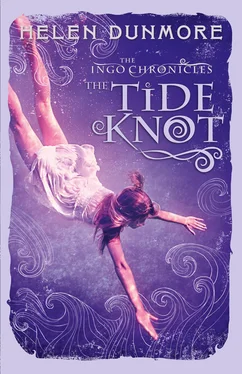 Helen Dunmore The Tide Knot обложка книги