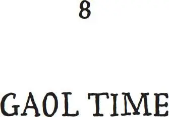 ammer Lane Gaol was to all outside appearances a small house on the border of - фото 12