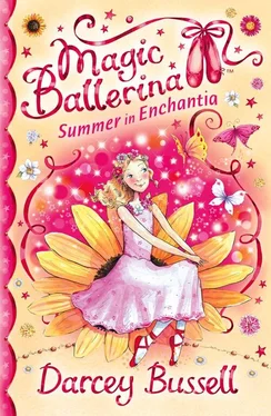 Darcey Bussell Summer in Enchantia обложка книги