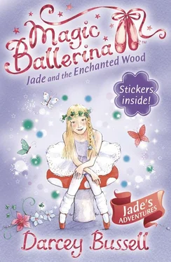 Darcey Bussell Jade and the Enchanted Wood обложка книги