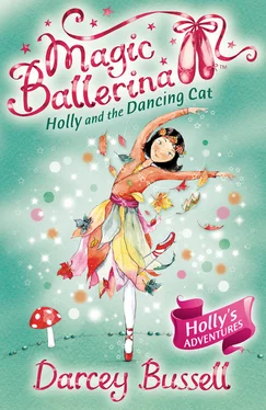 Darcey Bussell Holly and the Dancing Cat обложка книги
