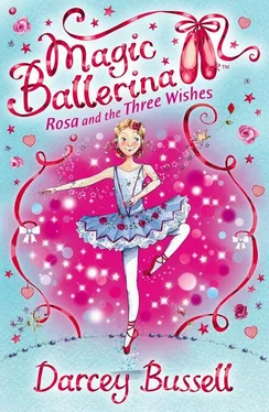 Darcey Bussell Rosa and the Three Wishes обложка книги