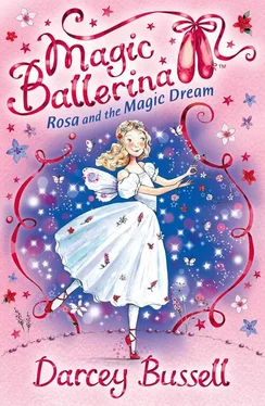 Darcey Bussell Rosa and the Magic Dream обложка книги