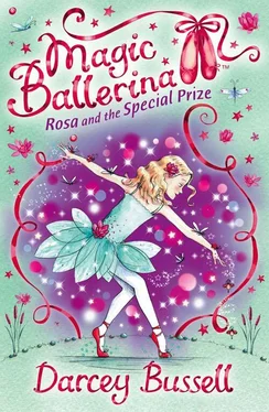Darcey Bussell Rosa and the Special Prize обложка книги