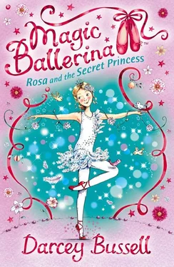 Darcey Bussell Rosa and the Secret Princess обложка книги