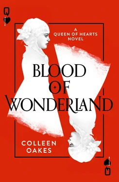Colleen Oakes Blood of Wonderland обложка книги