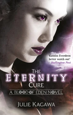 Julie Kagawa The Eternity Cure обложка книги