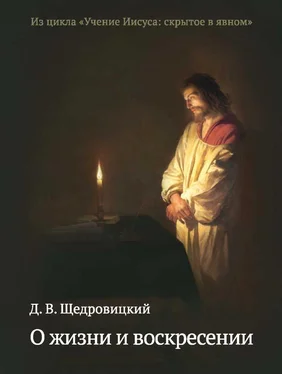 Дмитрий Щедровицкий О жизни и воскресении обложка книги