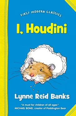 Lynne Banks I, Houdini обложка книги