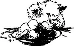 Mr Brown lay back on his pillow and surveyed the mountain of food on his plate - фото 61