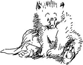 Paddington sat very still holding his breath and listening It wasnt so much - фото 59