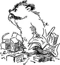 Mrs Brown looked anxiously at the diningroom clock I wonder where on earth - фото 51