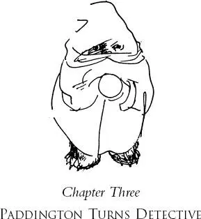 The old boxroom was finished at last and everyone including Paddington - фото 31