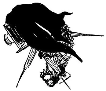 Mr Gruber who kept an antique shop in the Portobello market was a close - фото 23