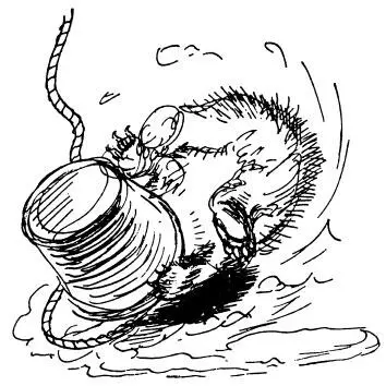 Paddington lay on his back in the whitewash for several minutes trying to get - фото 30