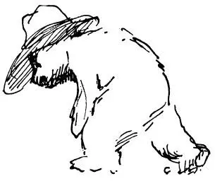 Mrs Brown sighed Oh well we shall know what it is soon enough I expect - фото 32