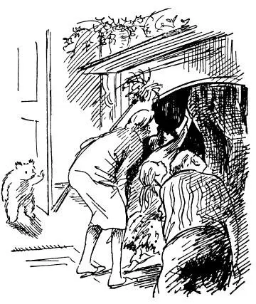 Mrs Brown looked at her husband I thought you said youd looked everywhere - фото 43