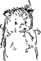 Paddington sat in the middle of the kitchen floor with a mournful expression on - фото 50