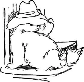 Mr Gruber pointed out several items in the catalogue to Paddington and gave him - фото 48