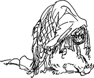 It was while he was sitting on the pile of washing in the hall trying to - фото 64