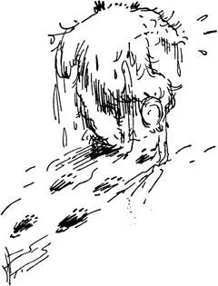 Come along said Mr Brown hastily If we hurry we may be just in time to see - фото 46