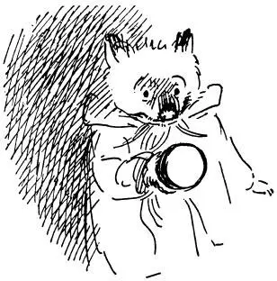 Hallo hallo said the first of the men looking hard at Paddington Whats - фото 34