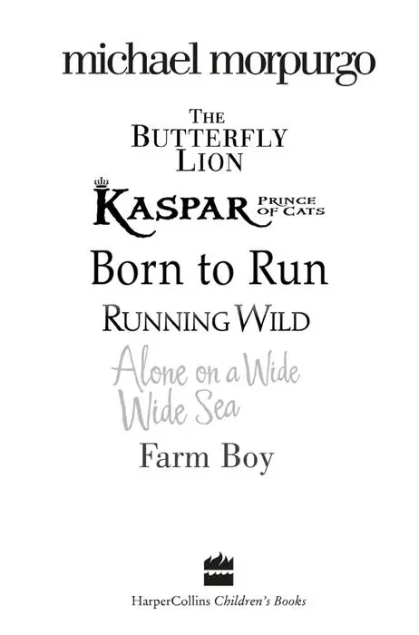 Copyright Copyright The Butterfly Lion Kaspar Prince of Cats Born to Run - фото 1