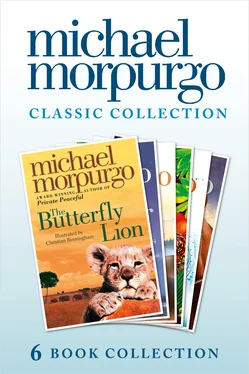 Michael Morpurgo The Classic Morpurgo Collection обложка книги