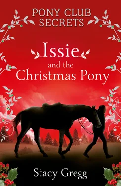 Stacy Gregg Issie and the Christmas Pony: Christmas Special обложка книги