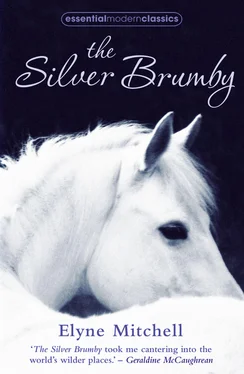 Elyne Mitchell The Silver Brumby обложка книги