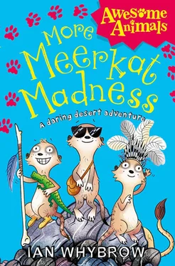 Ian Whybrow More Meerkat Madness обложка книги