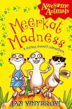 Ian Whybrow Meerkat Madness обложка книги