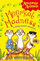 Ian Whybrow - Meerkat Madness