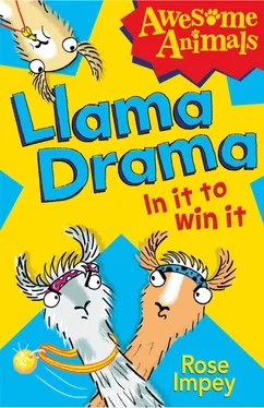 Rose Impey Llama Drama - In It To Win It! обложка книги