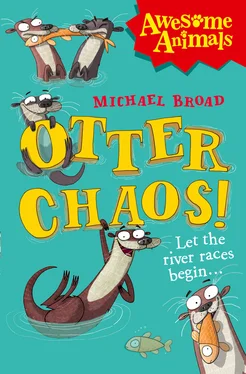 Michael Broad Otter Chaos! обложка книги