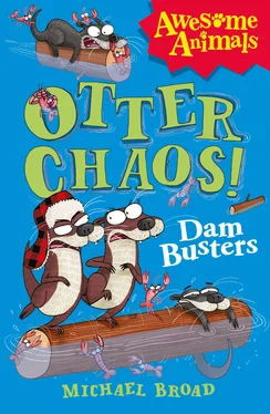 Michael Broad Otter Chaos - The Dam Busters обложка книги