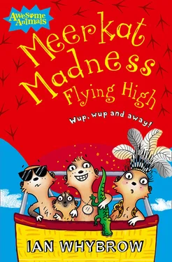 Ian Whybrow Meerkat Madness Flying High обложка книги