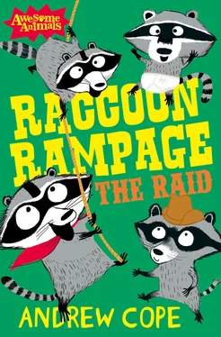 Nadia Shireen Raccoon Rampage - The Raid обложка книги