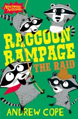 Nadia Shireen - Raccoon Rampage - The Raid