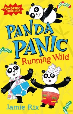 Jamie Rix Panda Panic - Running Wild обложка книги