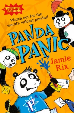 Jamie Rix Panda Panic обложка книги