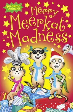 Ian Whybrow Merry Meerkat Madness обложка книги